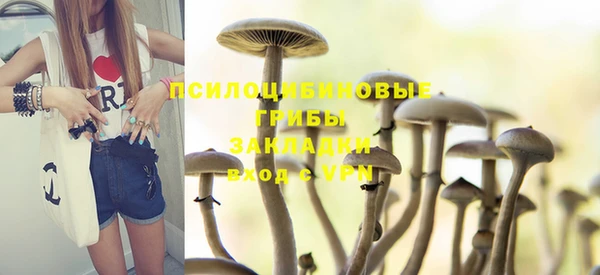 метадон Алексеевка