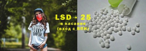 сатива Новокубанск